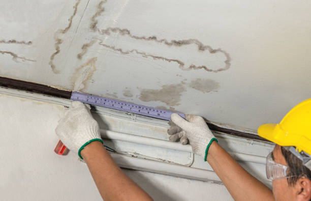 Reliable Mold Remediation contractor in Mason, MI by Water Damage Irwin